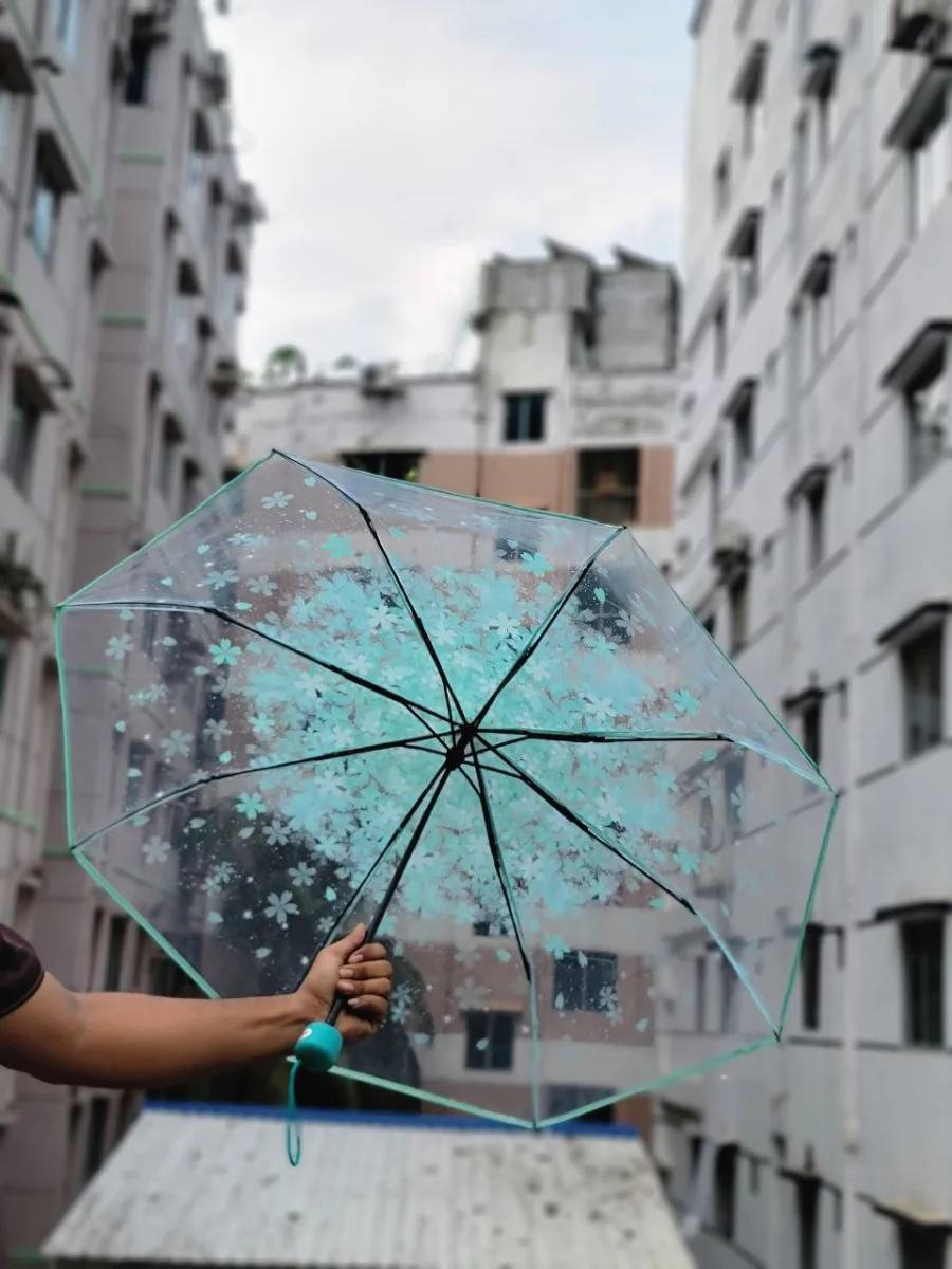 Transparent Sakura Blossom Umbrella || কোরিয়ান স্টাইল চেরি ব্লসম ছাতা🌸_img_3