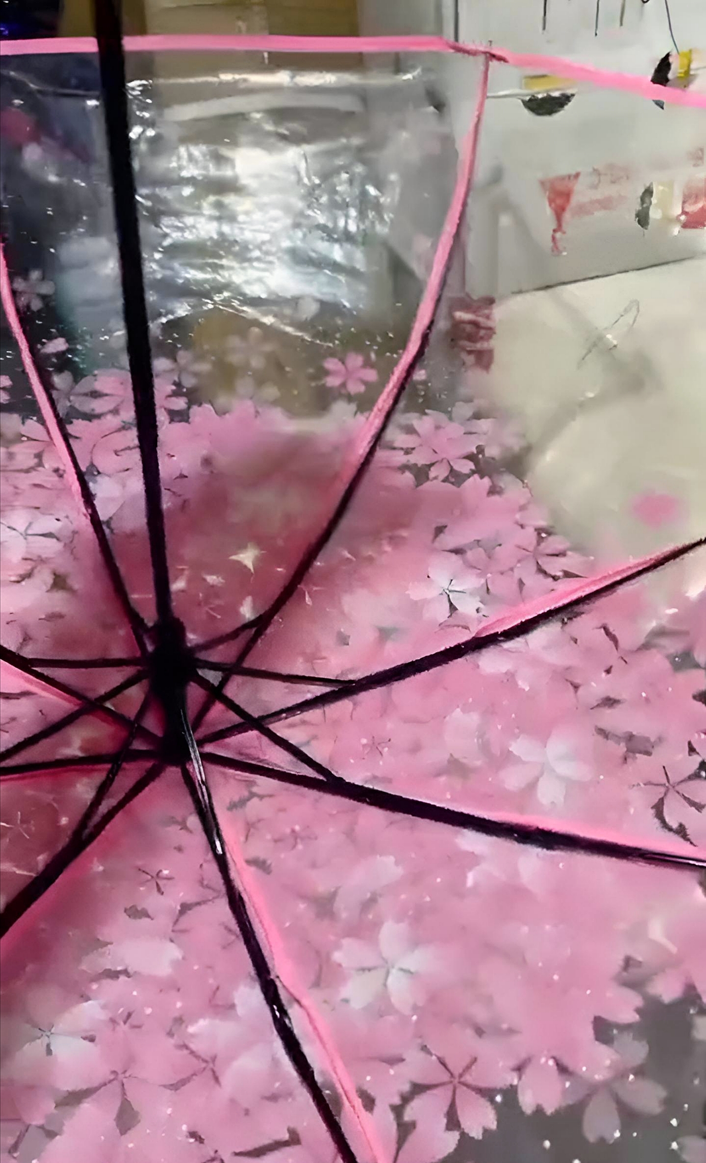 Transparent Sakura Blossom Umbrella || কোরিয়ান স্টাইল চেরি ব্লসম ছাতা🌸_img_8
