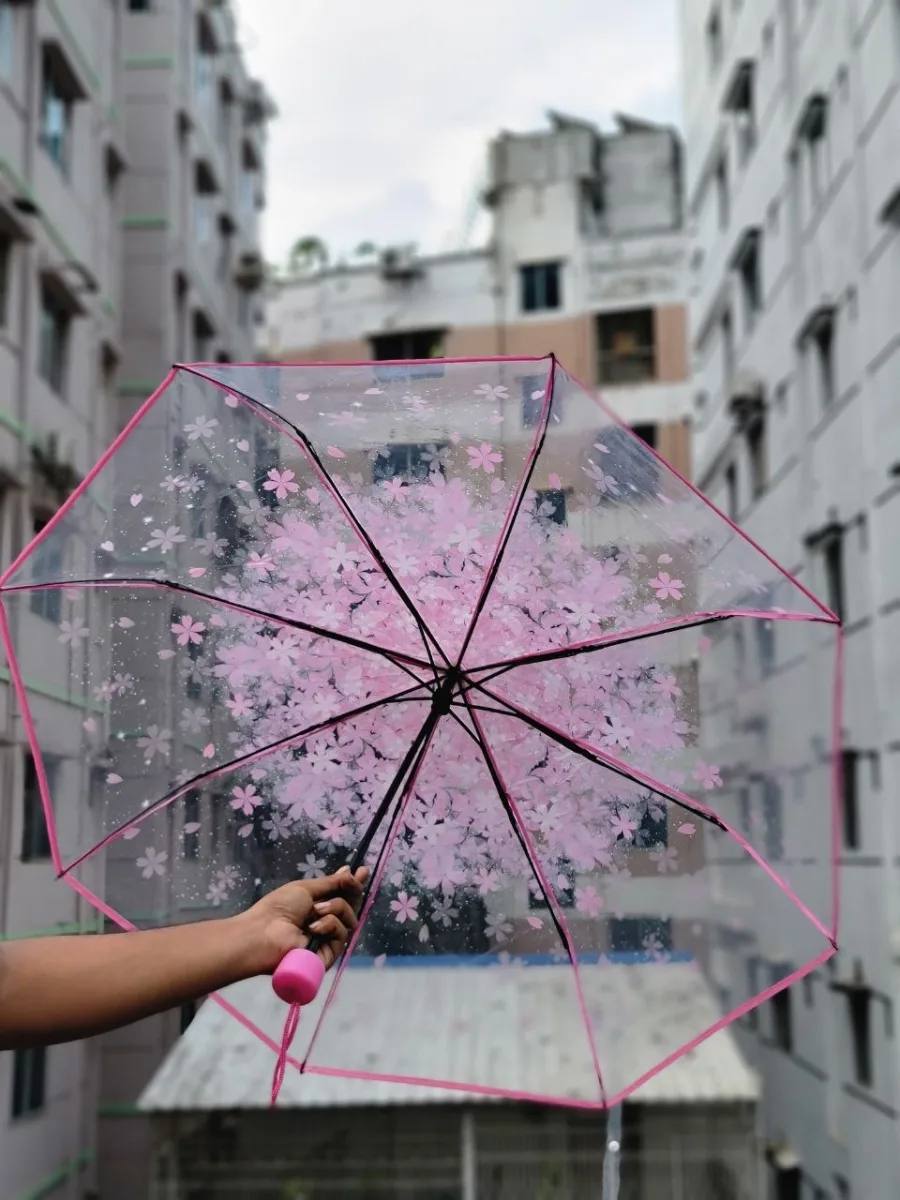 Transparent Sakura Blossom Umbrella || কোরিয়ান স্টাইল চেরি ব্লসম ছাতা🌸_img_1