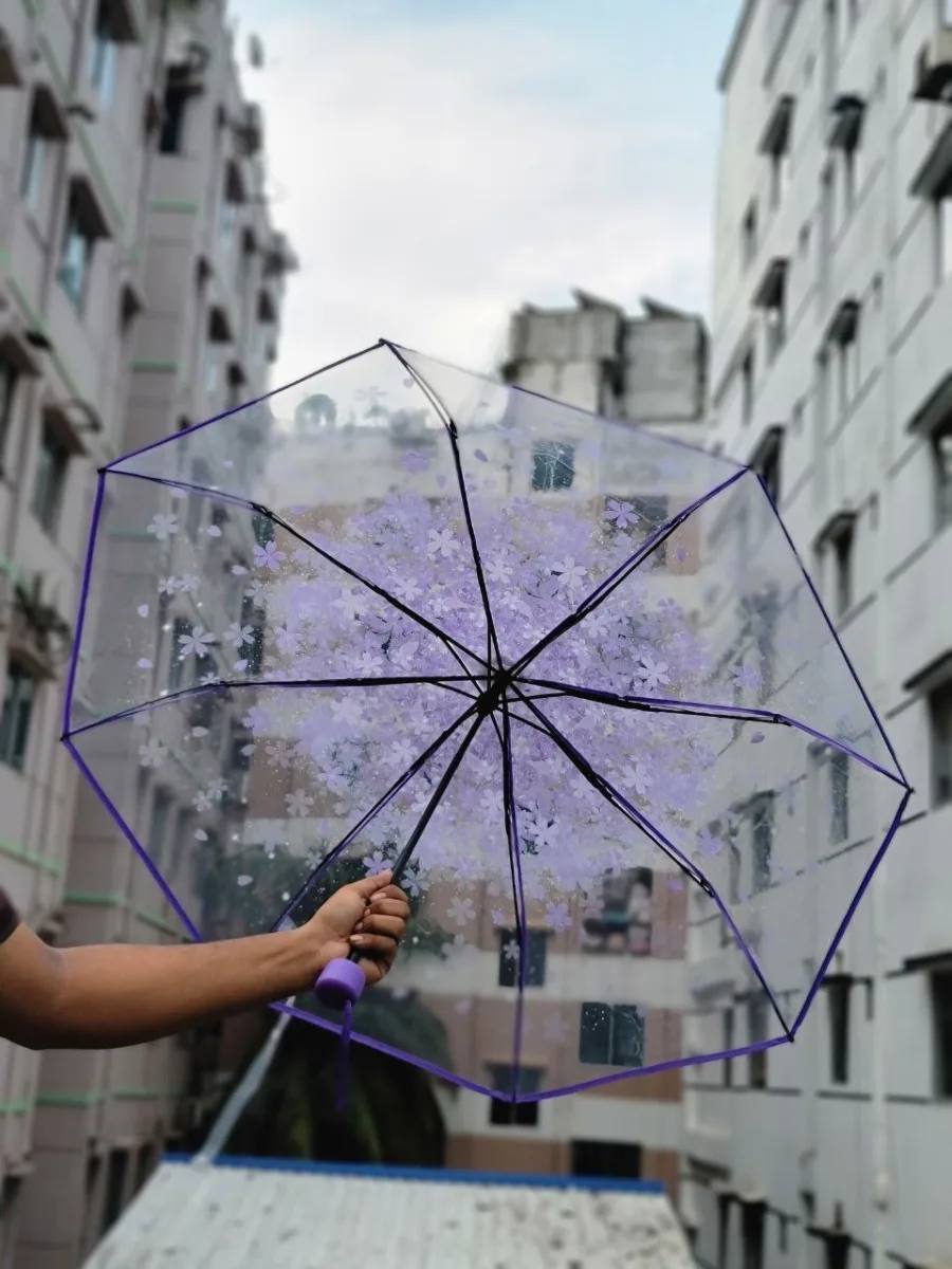 Transparent Sakura Blossom Umbrella || কোরিয়ান স্টাইল চেরি ব্লসম ছাতা🌸_img_4