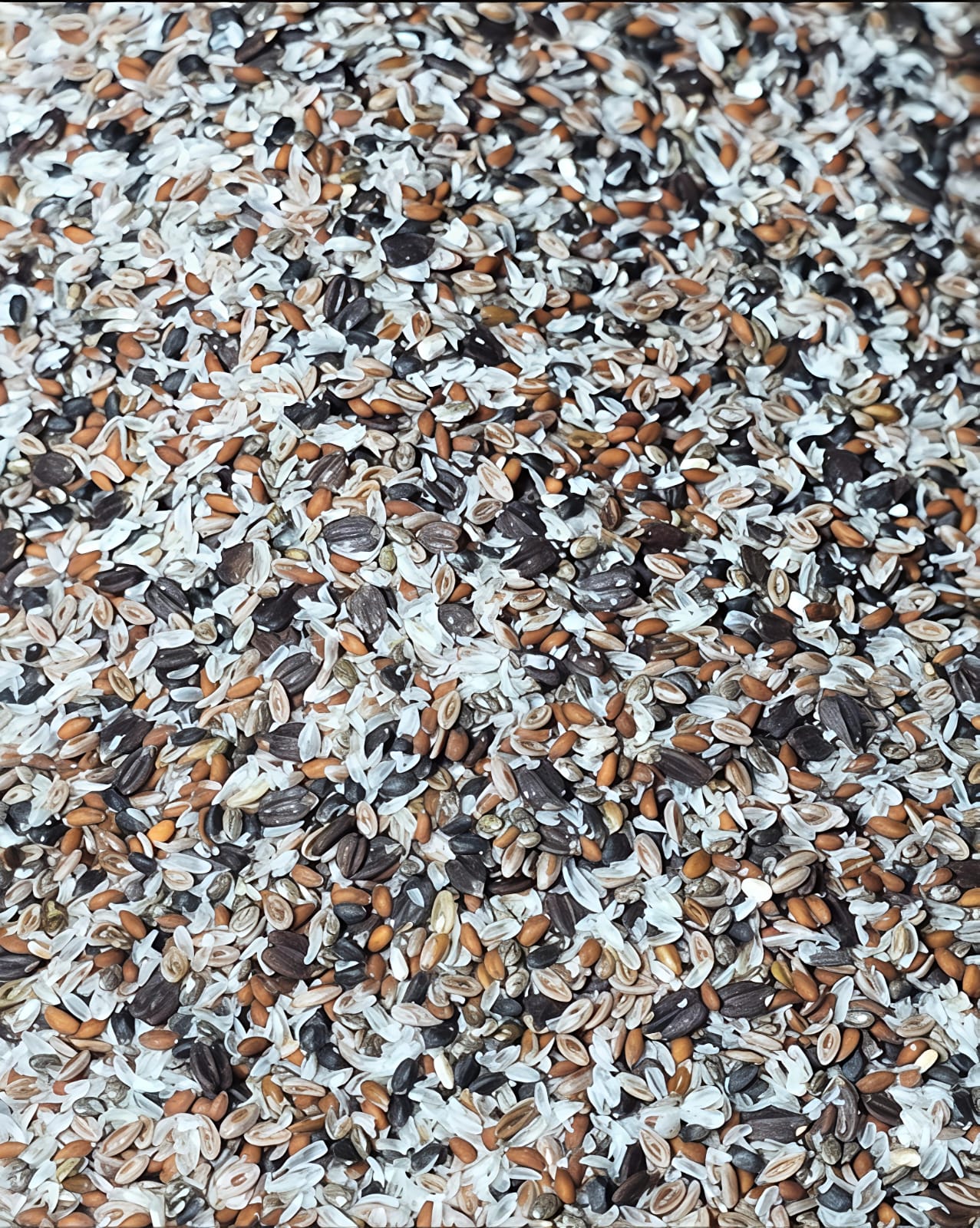 সিড মিক্স ( Seed Mix ) – 500gm - Image 3