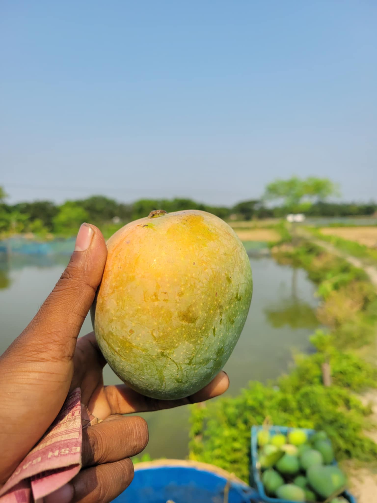 গোবিন্দভোগ