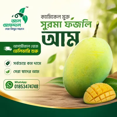 সুরমা ফজলী আম (Surma Fazlee Mango)_img_0