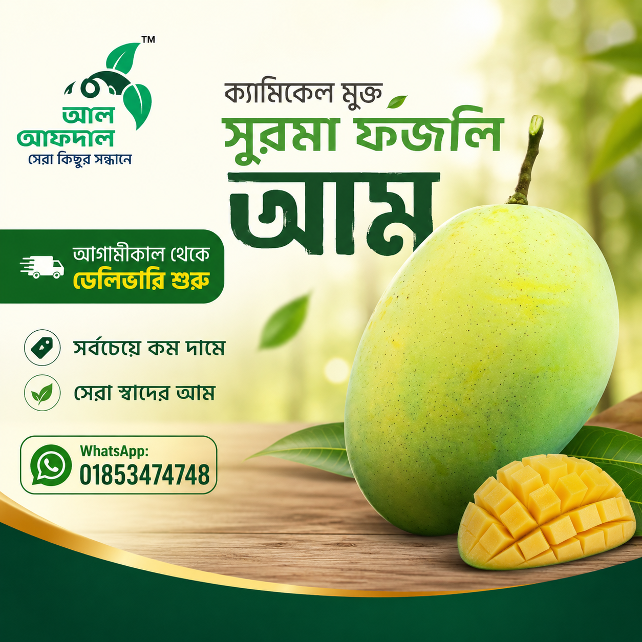 সুরমা ফজলী আম (Surma Fazlee Mango)