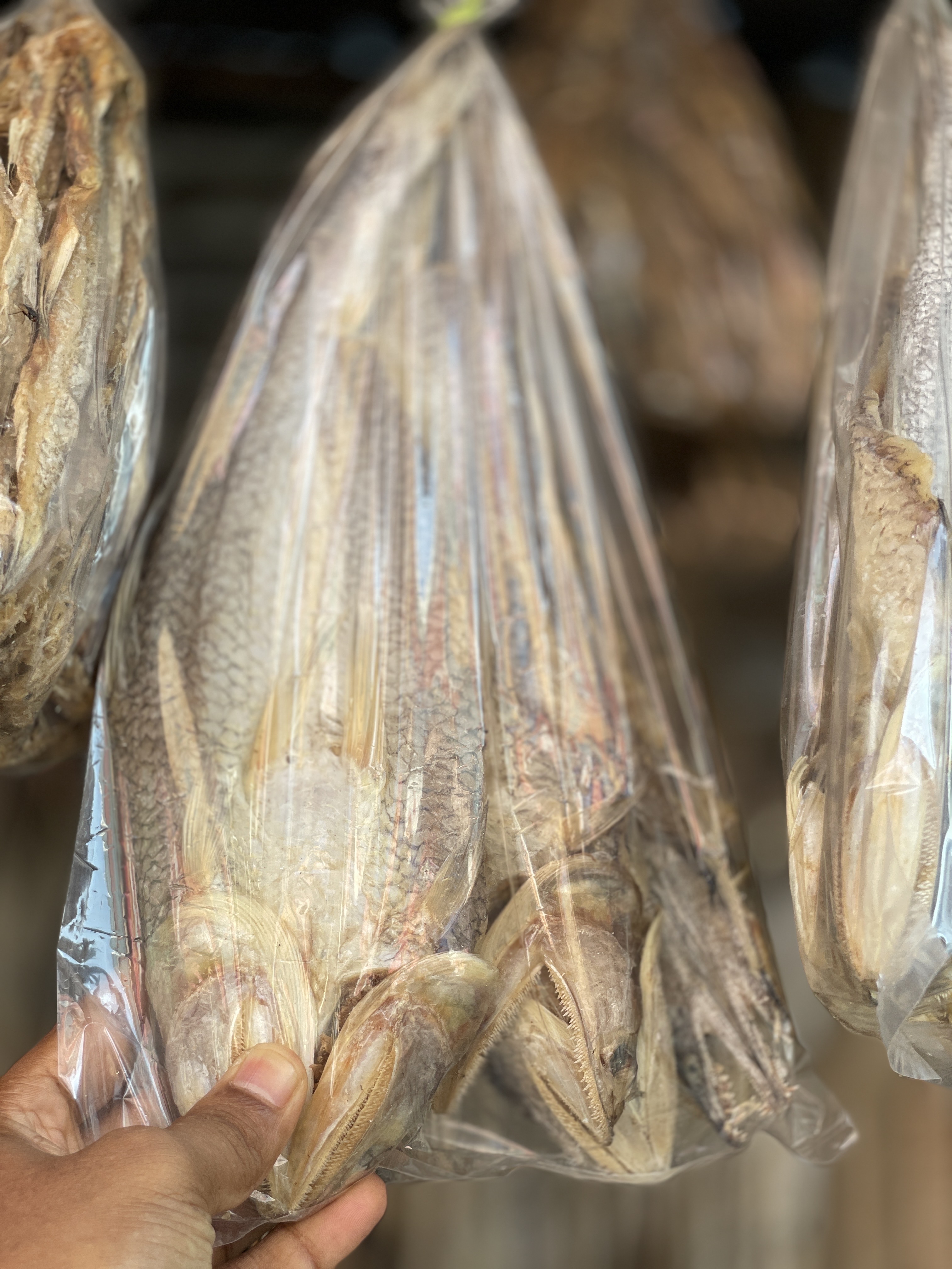 বাইলা শুঁটকি ( Baila Fish )_img_1