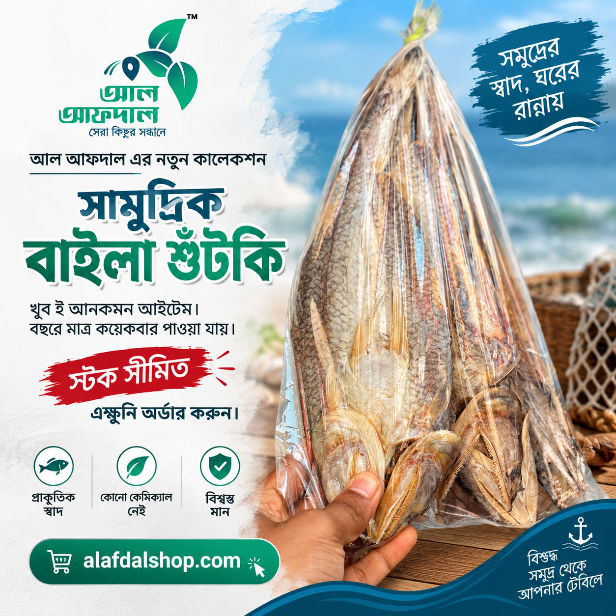 বাইলা শুঁটকি ( Baila Fish )