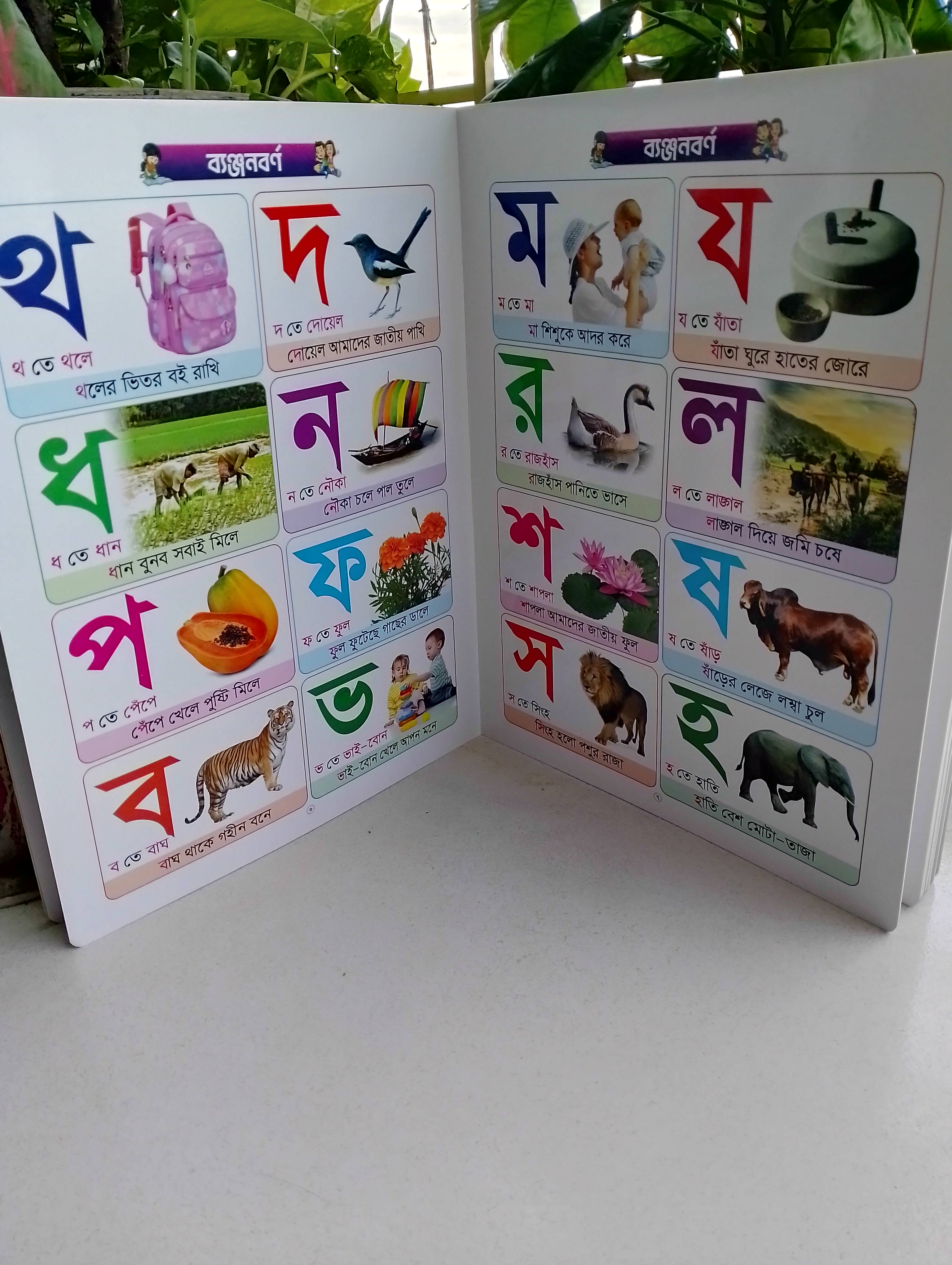 একের ভিতরে সব_img_1