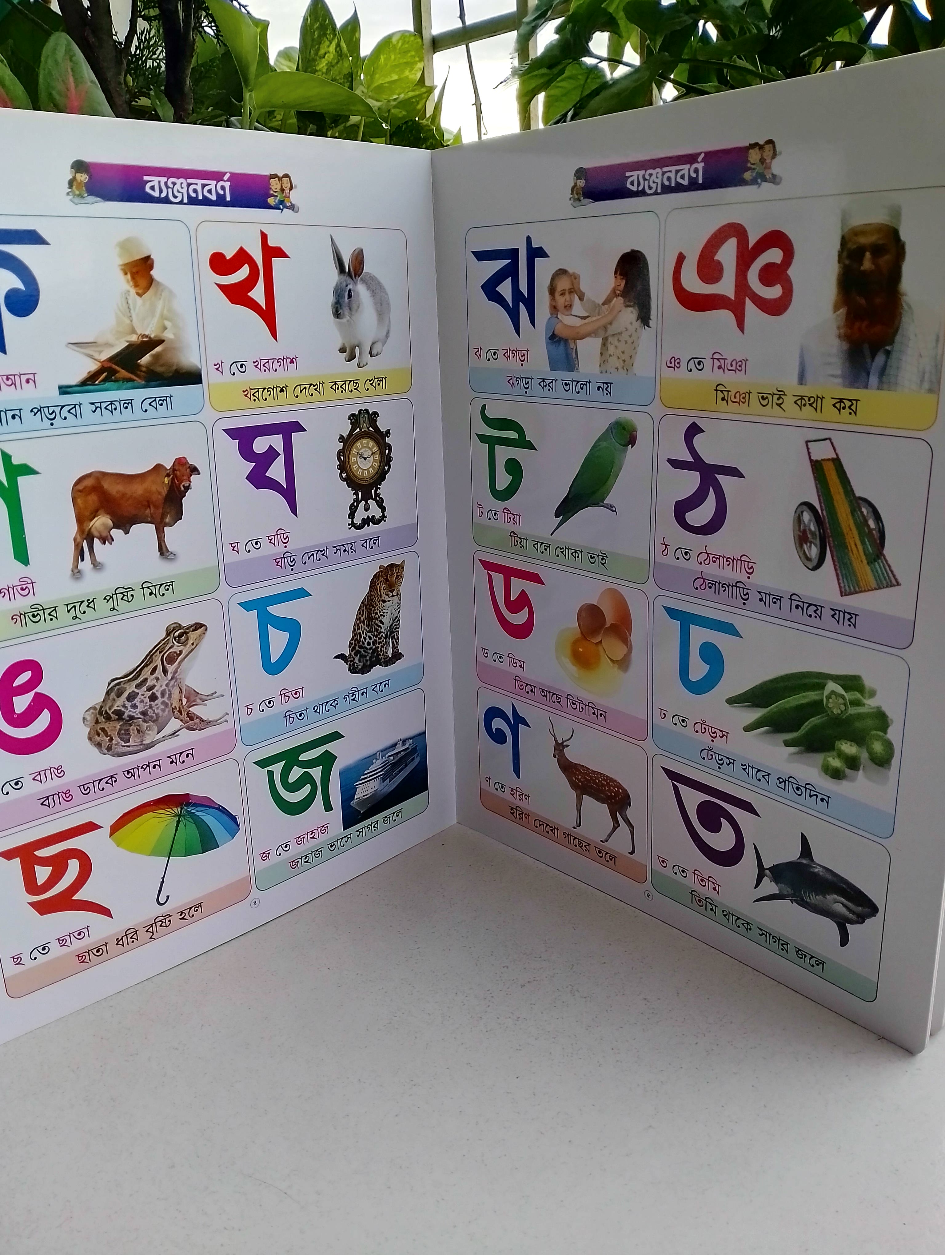 একের ভিতরে সব_img_2