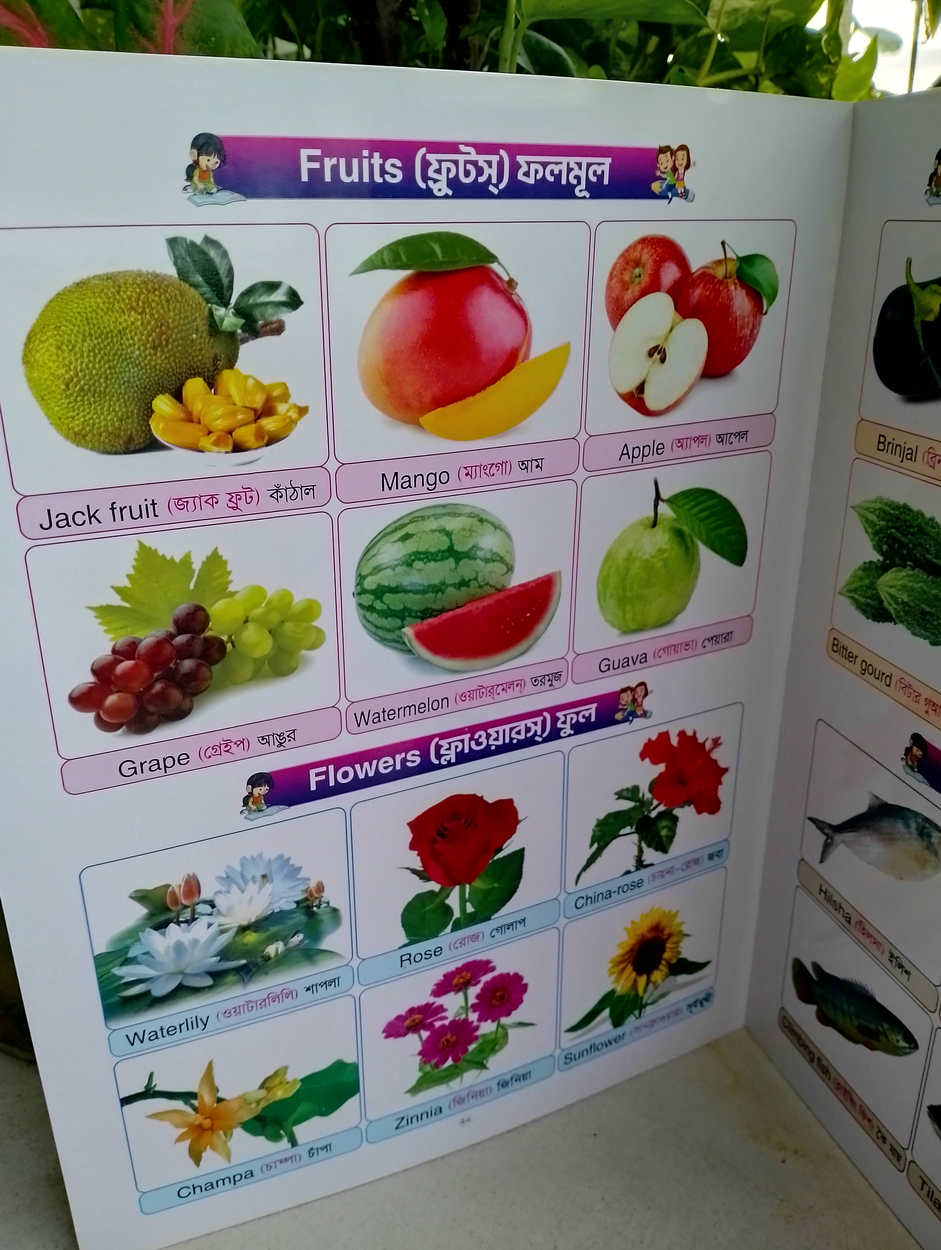 একের ভিতরে সব_img_4