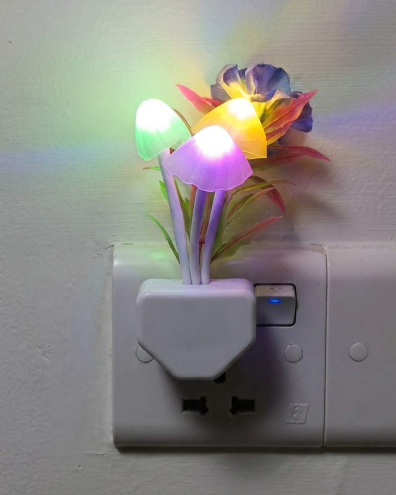 Mushroom Night Light | guptodhoon.com