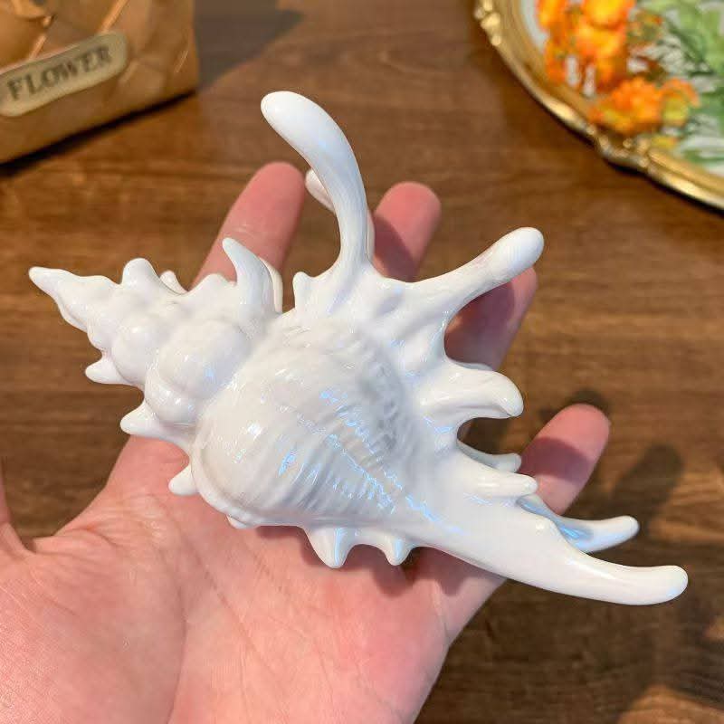 Sea Shell Acrylic Conch Hair Claw_img_2