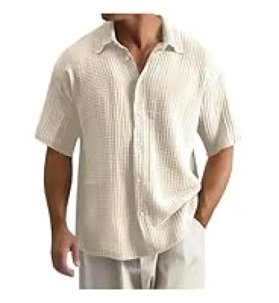 Temu2025 New Cross-Border Large Size Shirt Embroidered Men's Loose Cotton Short-Sleeved Lapel Shirt_img_2
