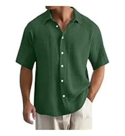 Temu2025 New Cross-Border Large Size Shirt Embroidered Men's Loose Cotton Short-Sleeved Lapel Shirt_img_4