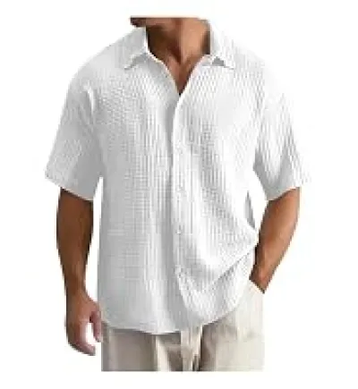 Temu2025 New Cross-Border Large Size Shirt Embroidered Men's Loose Cotton Short-Sleeved Lapel Shirt_img_5