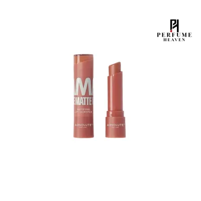 Absolute New York Mattifying Lipstick - MLAM02 Terracotta_img_0