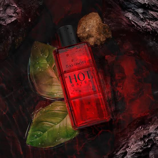 Davidoff Hot Water EDT – 110ml_img_2