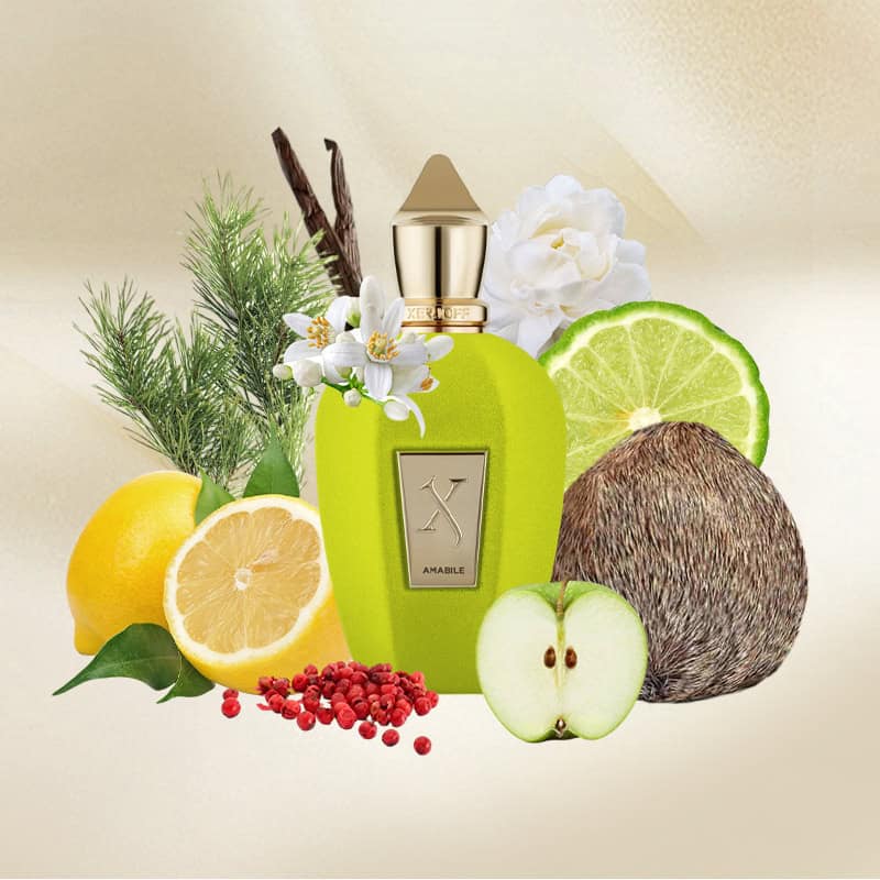 Xerjoff Amabile Eau de Parfum Unisex 100ml_img_2