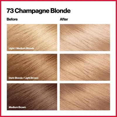 Revlon Colorsilk Beautiful Hair Color 73 Champagne Blonde_img_3