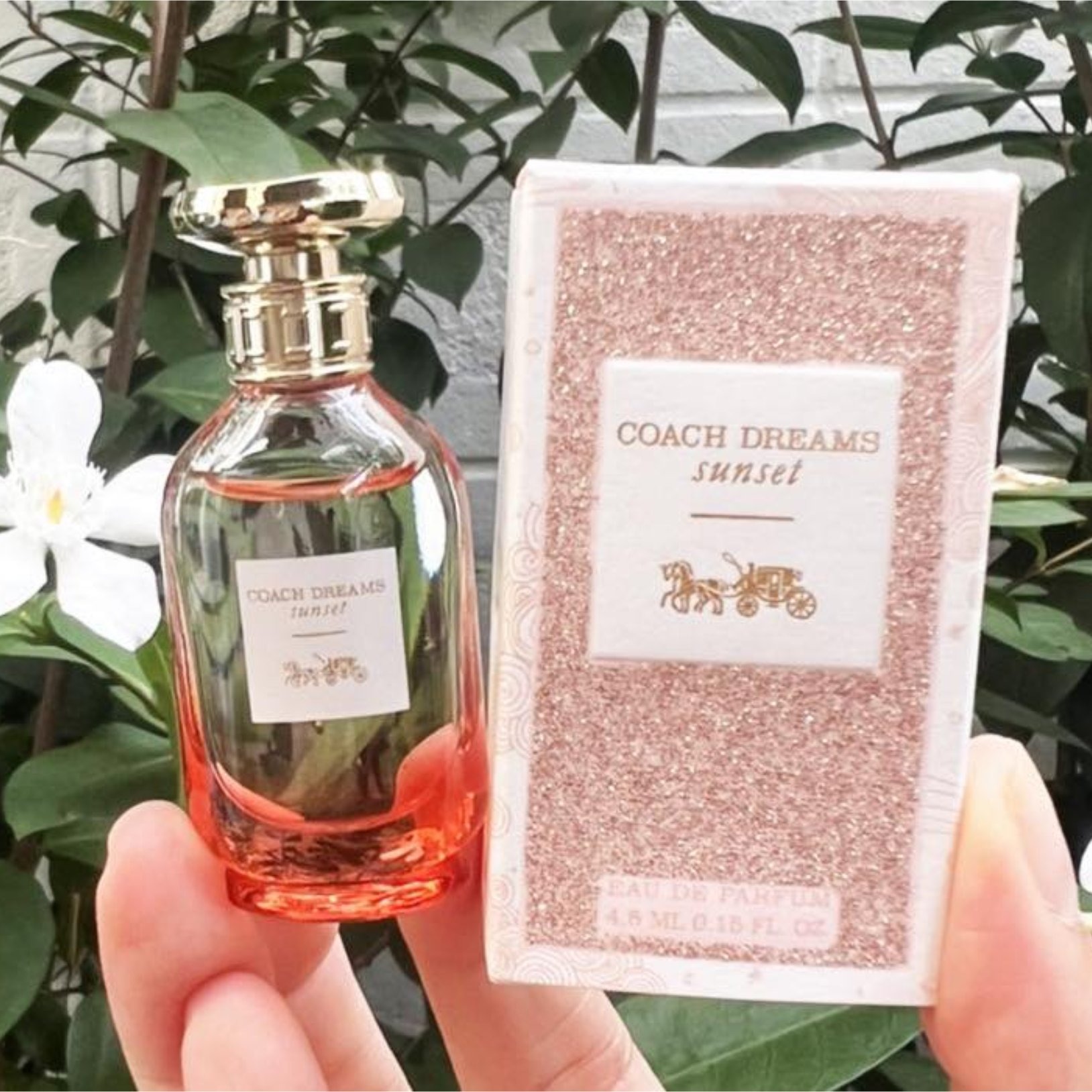 Coach Dreams Sunset Eau de Parfum Mini 4.5ml_img_1