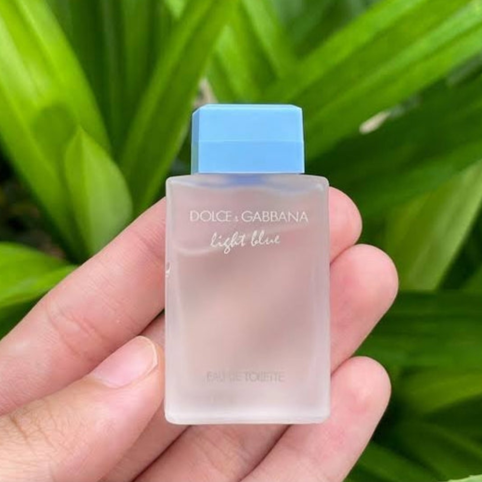 Dolce&Gabbana Light Blue Eau de Toilette Mini 4.5ml_img_1