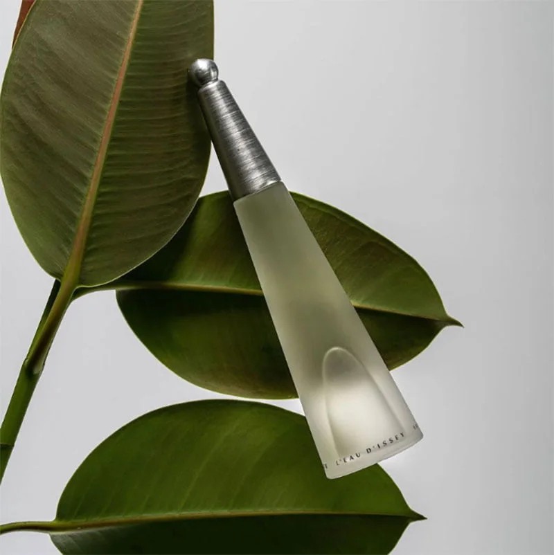 Issey Miyake L’eau D’issey EDT – 100ml_img_1