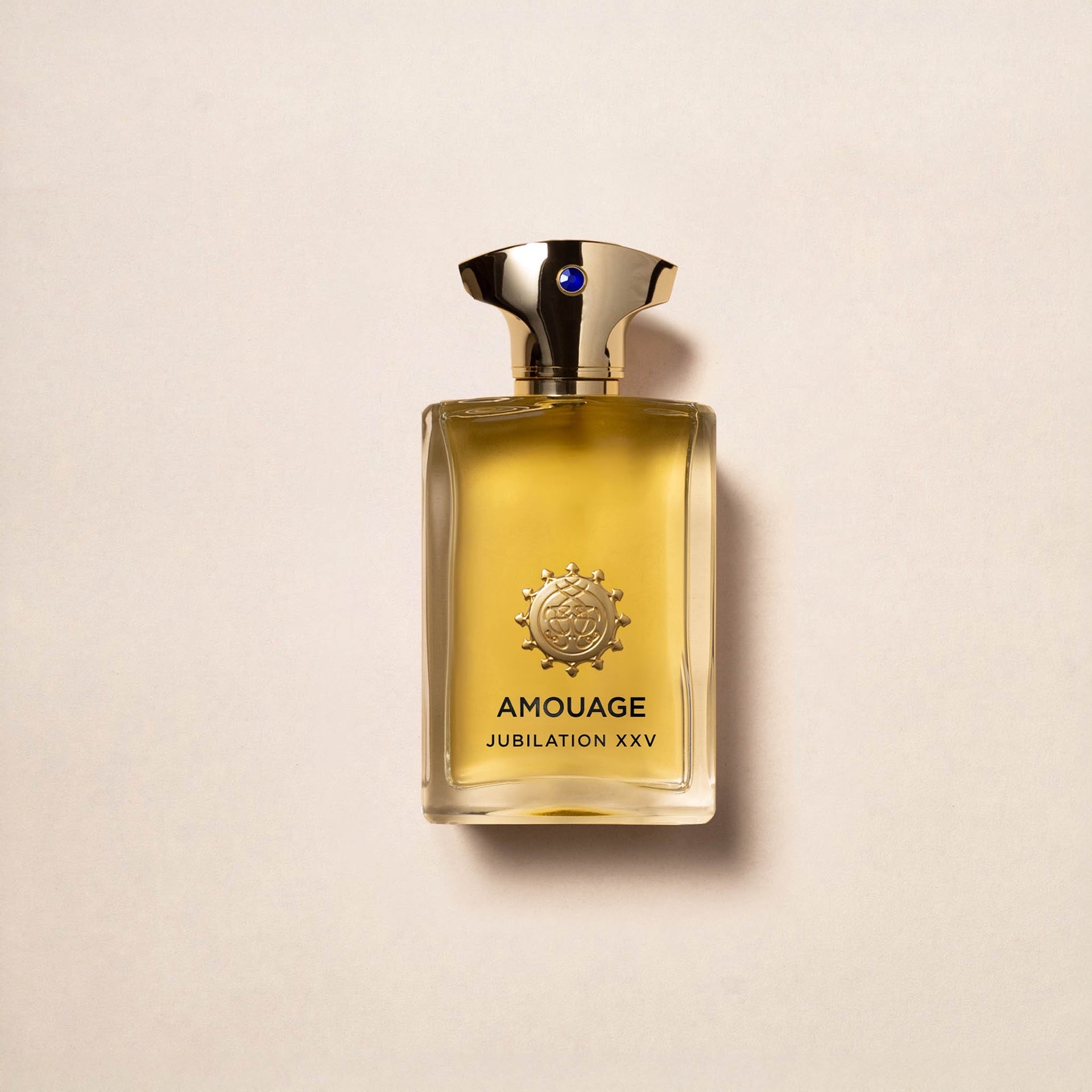 JUBILATION XXV MAN (Original STOCKLOT) EDP 100ML
