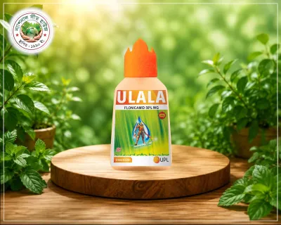 উলালা-ULALA | 100ml (UPL)_img_0
