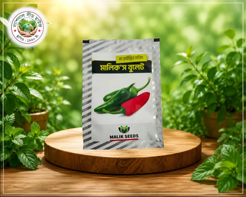 মালিক'স বুলেট ৫ গ্রাম প্যাকেট মরিচের বীজ | Malik's Bullet 5gm Packet Chilli Seed | A.R Malik Seeds.