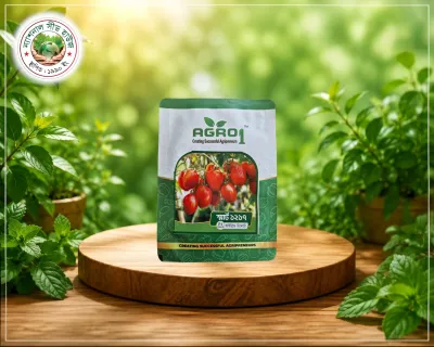 Smart-1217 Tomato Seed | 5gm | Agro-1_img_0