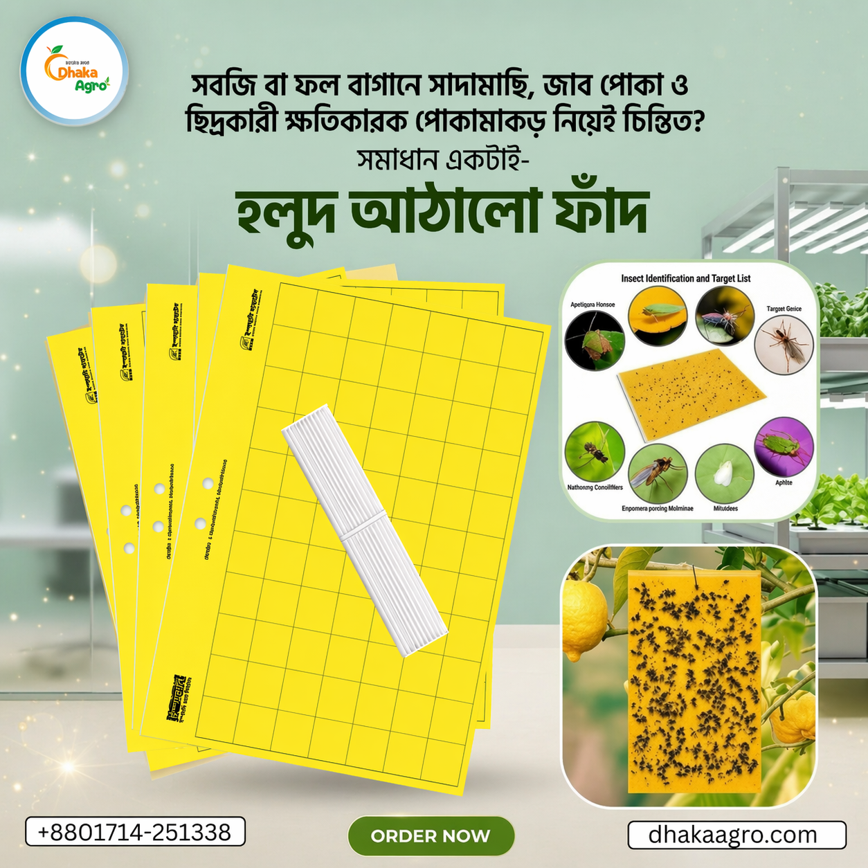 হলুদ আঠালো হলুদ ফাঁদ ইস্পাহানী এগ্রোর।