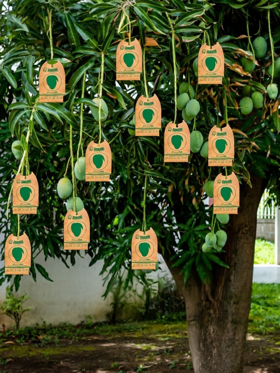 ম্যাংগো ফ্রুট ব্যাগ।_img_3