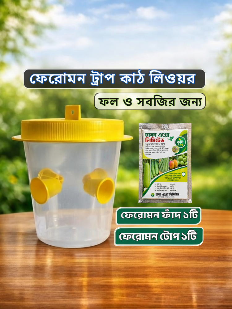 সবজি জন্য কাঠ লিওর ১টি ফাঁদ ও ১টি টোপ।