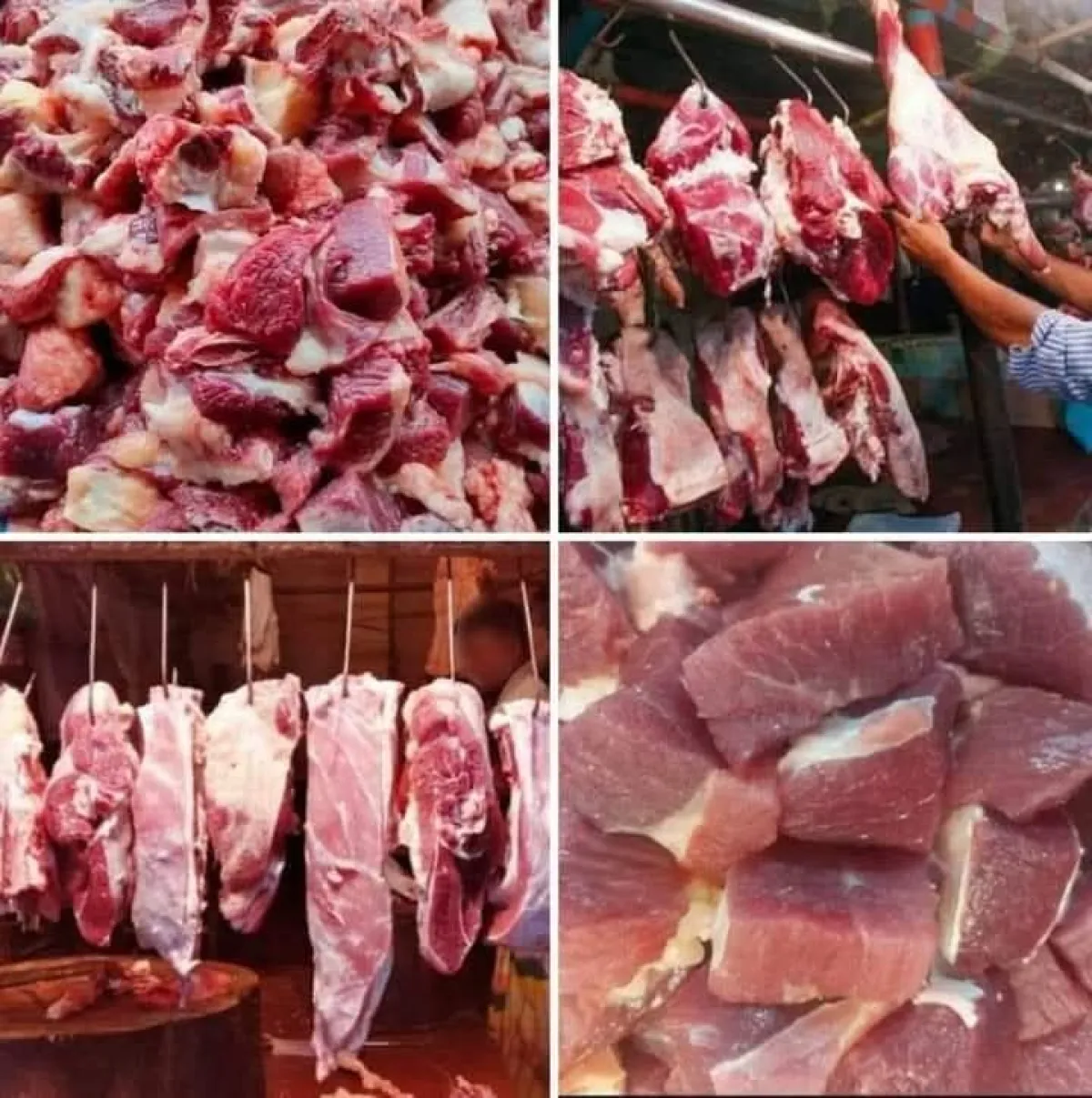 Beef in Bone curry cut / per kg