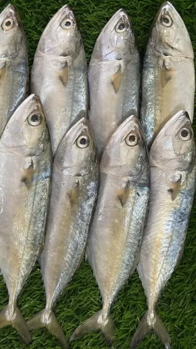 Narkeli Shurma / per kg_img_0