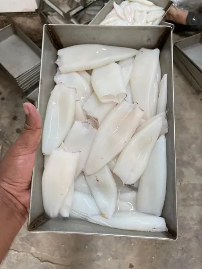 Squid Meat / per kg_img_0