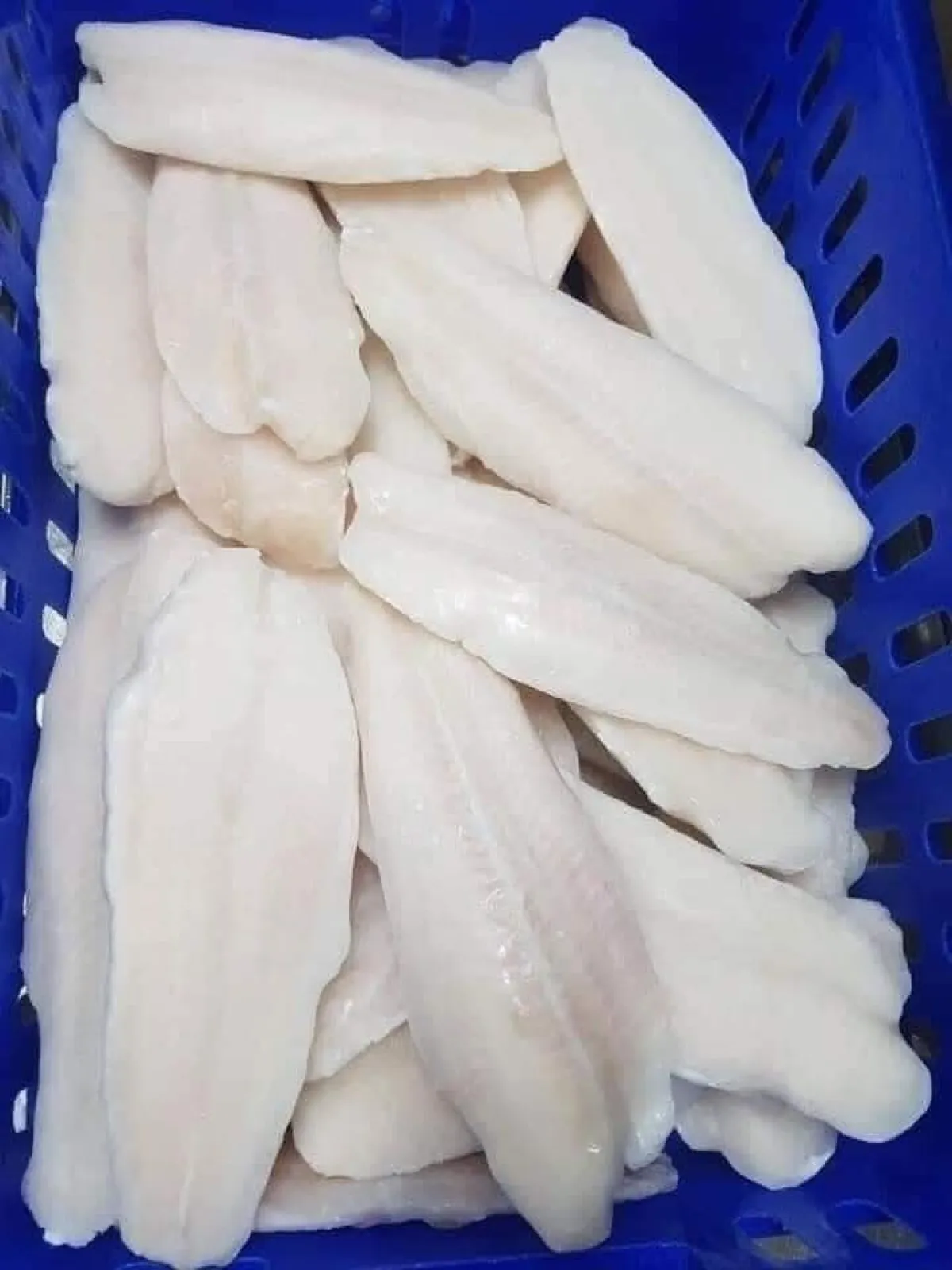 Dory Fish Per kg