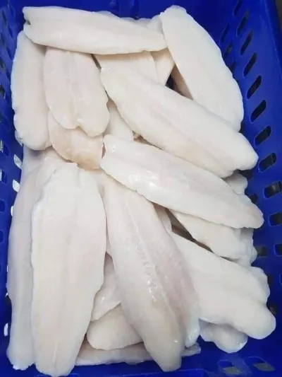 Dory Fish Per kg_img_0