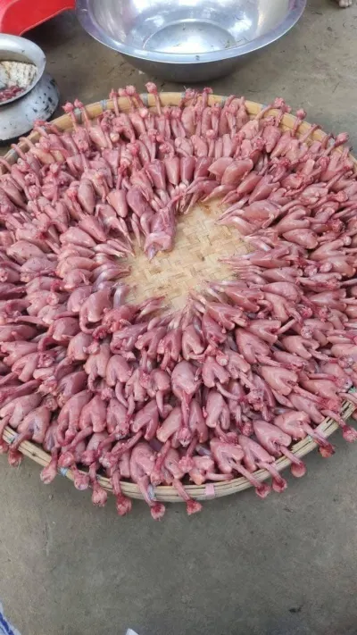 Jambu Koyel 10pc /per pc 65-85 gm_img_2