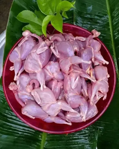 Jambu Koyel 10pc /per pc 65-85 gm_img_1