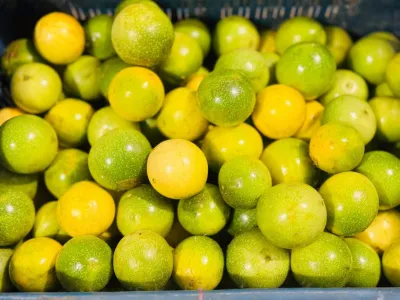 Premium Passion Fruit / Anarkoli /10/12pc in a per kg_img_2