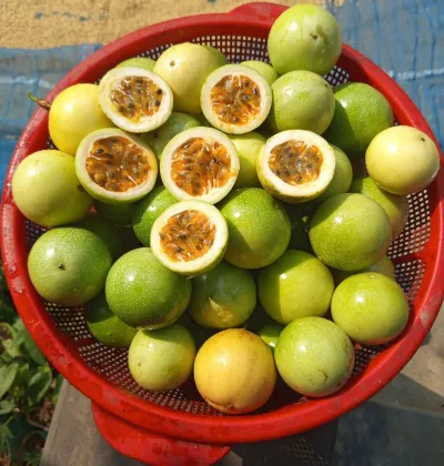 Premium Passion Fruit / Anarkoli /10/12pc in a per kg_img_0