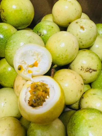 Premium Passion Fruit / Anarkoli /10/12pc in a per kg_img_1
