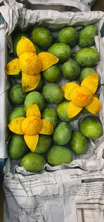 Himsagor Mango - 5Kg_img_0