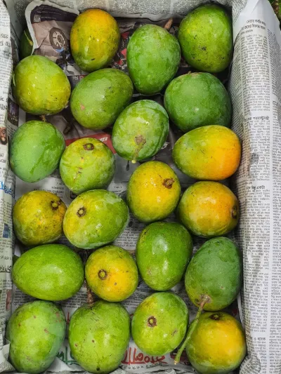 Himsagor Mango - 5Kg_img_2