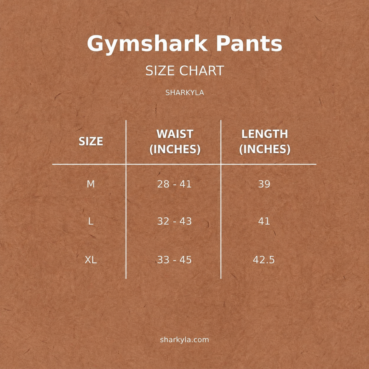 Gym*shark Black Unisex Pant_img_5