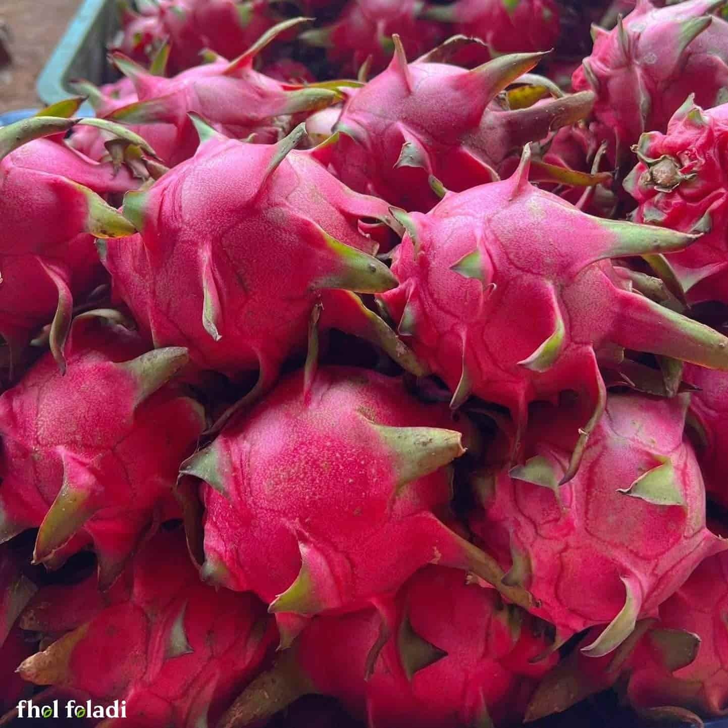 ন্যাচারাল ড্রাগন ফল ৫কেজি - (Natural Dragon Fruit 5kg)