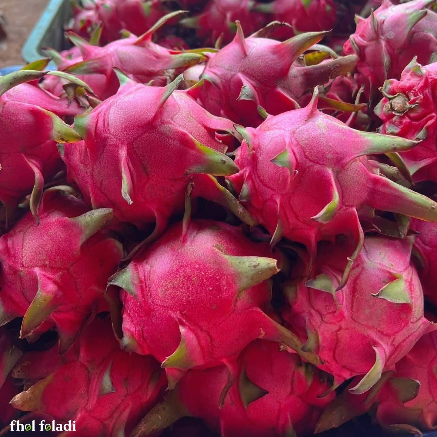 ন্যাচারাল ড্রাগন ফল ২ কেজি - (Natural Dragon Fruit 2kg)
