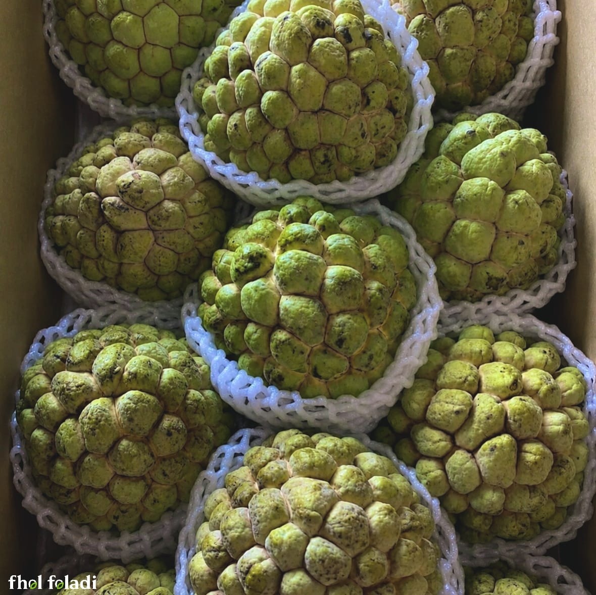 ন্যাচারাল শরিফা ফল-২ কেজি  (Custard Apple 2kg)