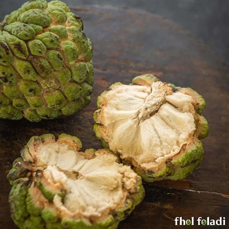 ন্যাচারাল শরিফা ফল-৪ কেজি  (Custard Apple 4kg)