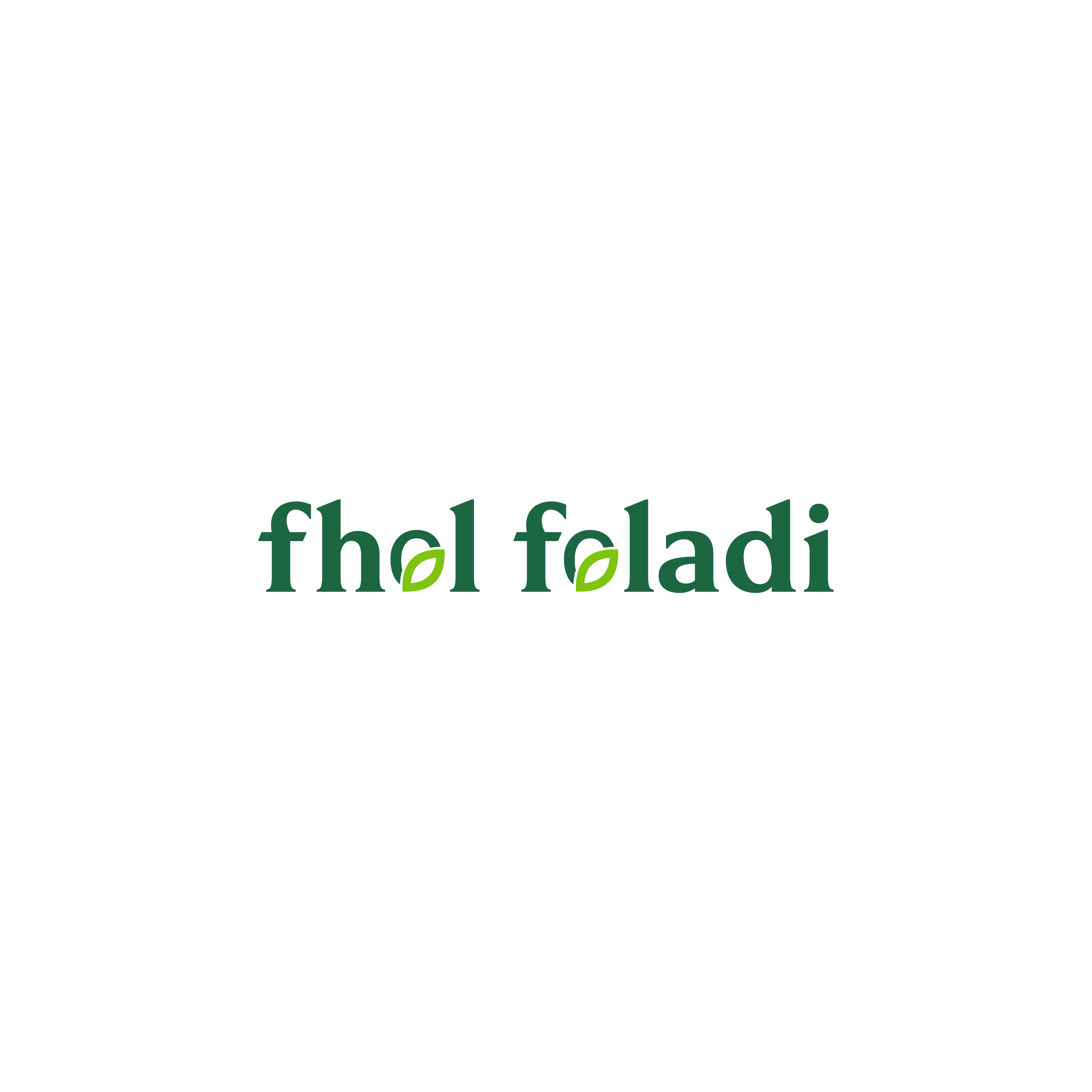 Fhol Fholadi logo